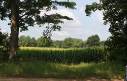 P Drive S (parcel 4), Burlington, MI 49029