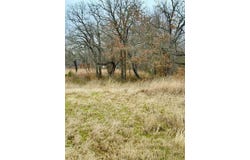 702 County Road 3597, Boyd, TX 76023
