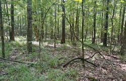 Hardy Rd, GRENADA, MS 38901