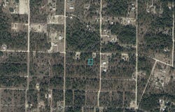 0930201700 NE 16TH LANE, WILLISTON, FL 32696