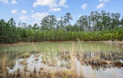 9422 FM 62, Corrigan, TX 75939