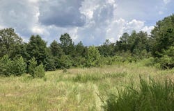 Polk Road 31, Cove, AR 71953