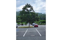 1585 Route 517, Allamuchy Twp., NJ 07840
