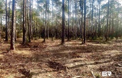 Bay Road, Foley, AL 36535