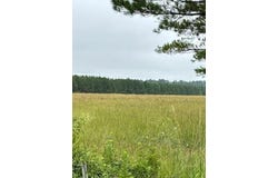 MS Hwy 14W, Macon, MS 39341