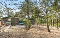 360 Ski Rd E, Allenspark, CO 80510