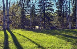 159 Kreiger Drive, Skandia, MI 49885