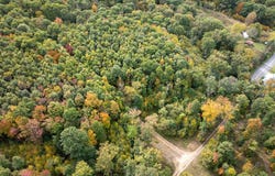 DUDLEY Road lot: 1, SIX MILE RUN, PA 16679