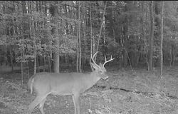 11.770 DAUGHERTY RD, ONANCOCK, VA 23417