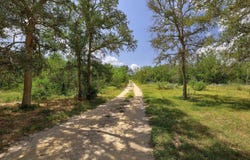 326 The Forest Rd, Dale, TX 78616