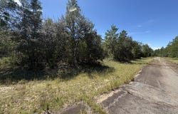 Cascade Drive lot: 27, Chipley, FL 32428