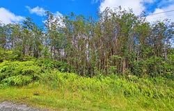 ALA NAULANI RD lot: 46, Volcano, HI 96785