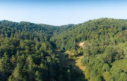 Nubbins Ridge Road, BEESON, WV 24714