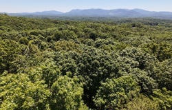 Flagpole Rd, Ellijay, GA 30540