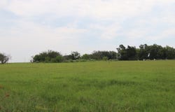 Rs County Road 3425, Emory, TX 75440