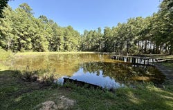 5096 US 287, Grapeland, TX 75844