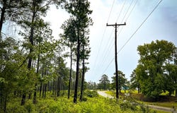 4 CR 257, Jasper, TX 75951