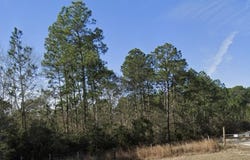 2.9 Acres Highway 15, Saucier, MS 39574