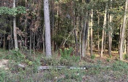 24 County Road 1011, Centre, AL 35960