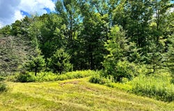 1.2 Tannery Rd, Western, NY 13486