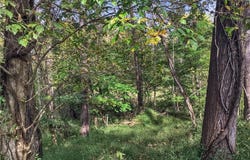NC Highway 268, Elkin, NC 28621
