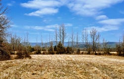 Lenox Rd., Muse, OK 74949