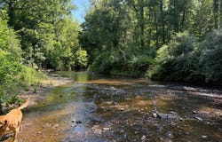 HOLLYWOOD RD, APPOMATTOX, VA 24522