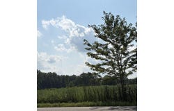 Capac Road, Armada Twp, MI 48005
