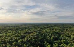 248 Padgett Road, Charleston, MS 38921
