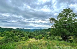 866 Georges Gap Road, Vilas, NC 28692