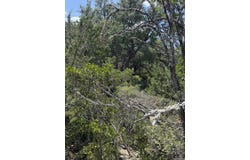 267 Sd 46066, Rocksprings, TX 78880