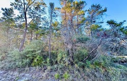 2041 Hwy 98 W, Carrabelle, FL 32322