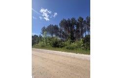 Parcel E Saint Johns Road, Interlochen, MI 49643