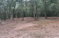 SW 150TH, OCALA, FL 34481
