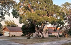 251 Burney Lane, Kerrville, TX 78028