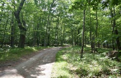LL.5 LN Beach, Nahma, MI 49864