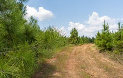 PID # 17166 Old Hwy 59, Lufkin, TX 75901