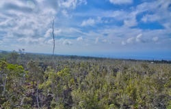 OHIA DR, Ocean View, HI 96737