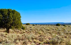 River Meadows Ranch Unit 3 Lot 204, Concho, AZ 85924