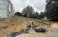 Sheridan, Oakland, CA 94618