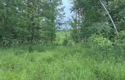 On FR 484 (aka Camp 3 Rd), Wakefield, MI 49968