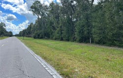 CR 337, MORRISTON, FL 32668