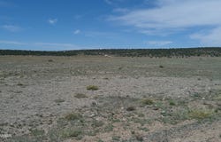 Windsor Valley Ranch 40, Concho, AZ 85924