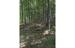 Route 7 N, Middlebury, VT 05753