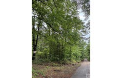 2096 MC 157, Doddridge, AR 71834