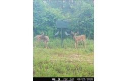 Harry Priddy Road, Americus, GA 31719