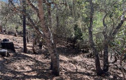 2275 Leona Drive, Cambria, CA 93428
