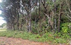Shoreline Dr, Florence, OR 97439