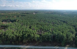 350 Williamson Way, Lovelady, TX 75851