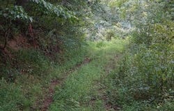 STATE ROUTE 34, Hurricane, WV 25526